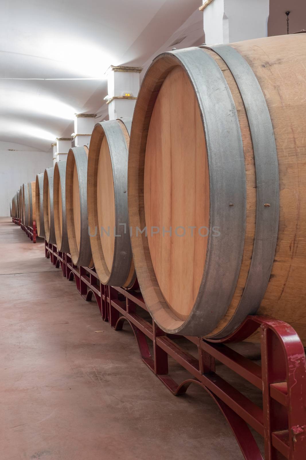 American Oak Barrels aging on a modern Winery