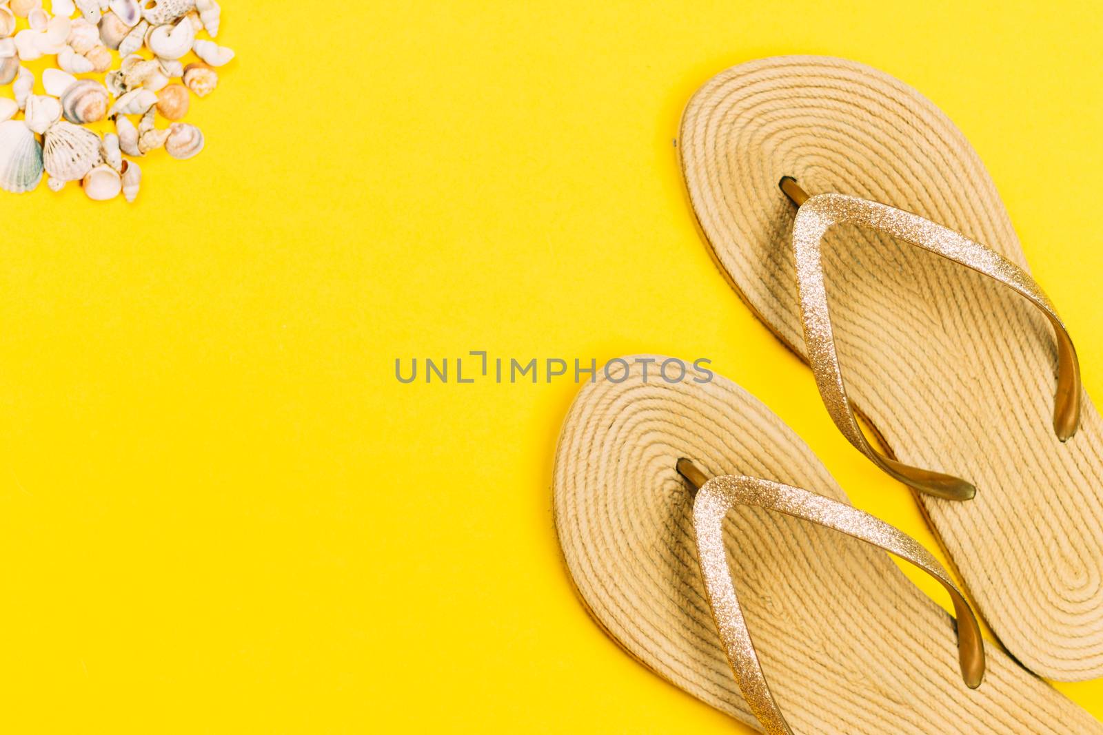 Bright flip-flops on color wooden background