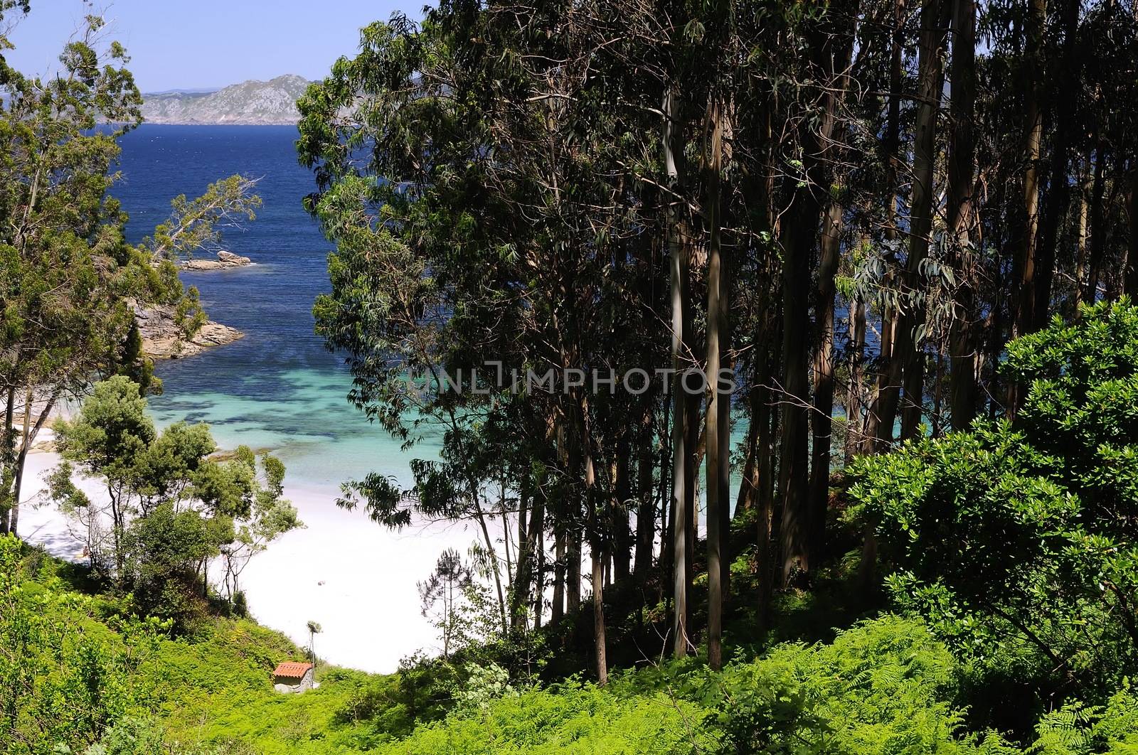 Cies Islands, National Park Maritime-Terrestrial of the Atlantic Islands of Galicia in Spain.