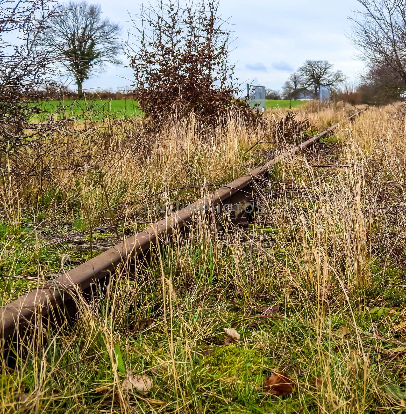 Multiple railroad tracks with junctions at a railway station in  by MP_foto71