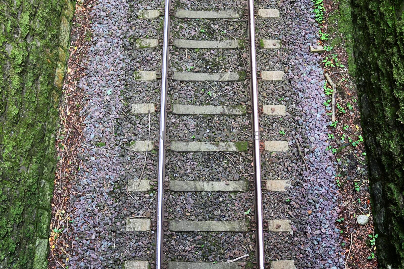 Multiple railroad tracks with junctions at a railway station in  by MP_foto71