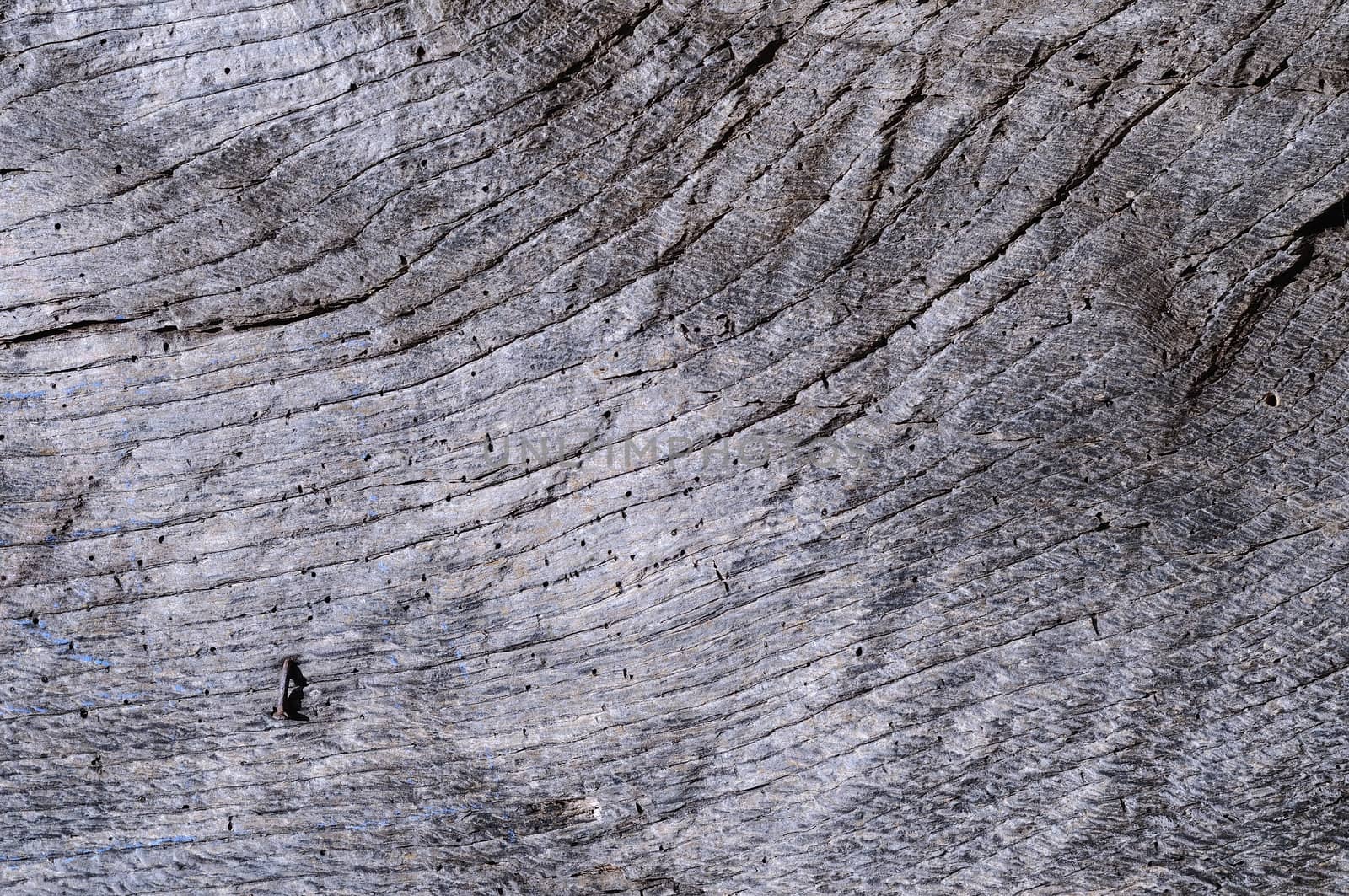 Background texture of an old wooden door.