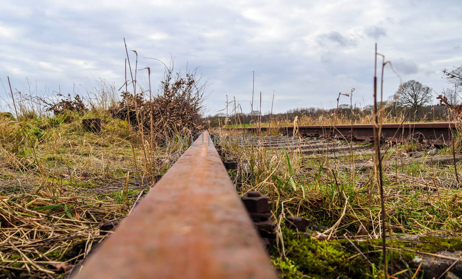 Multiple railroad tracks with junctions at a railway station in a perspective view