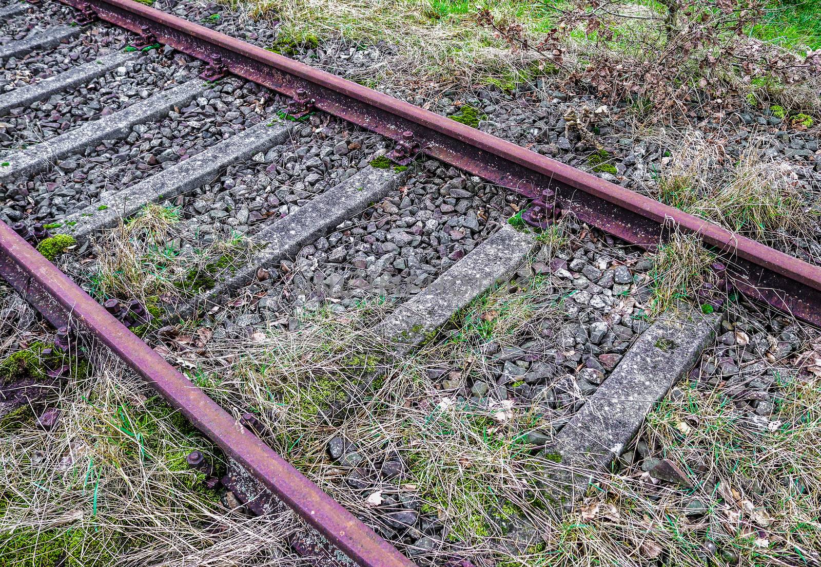 Multiple railroad tracks with junctions at a railway station in  by MP_foto71