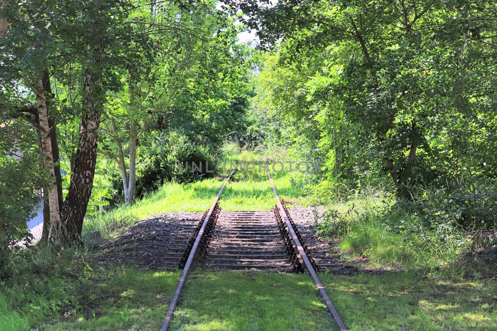 Multiple railroad tracks with junctions at a railway station in a perspective view