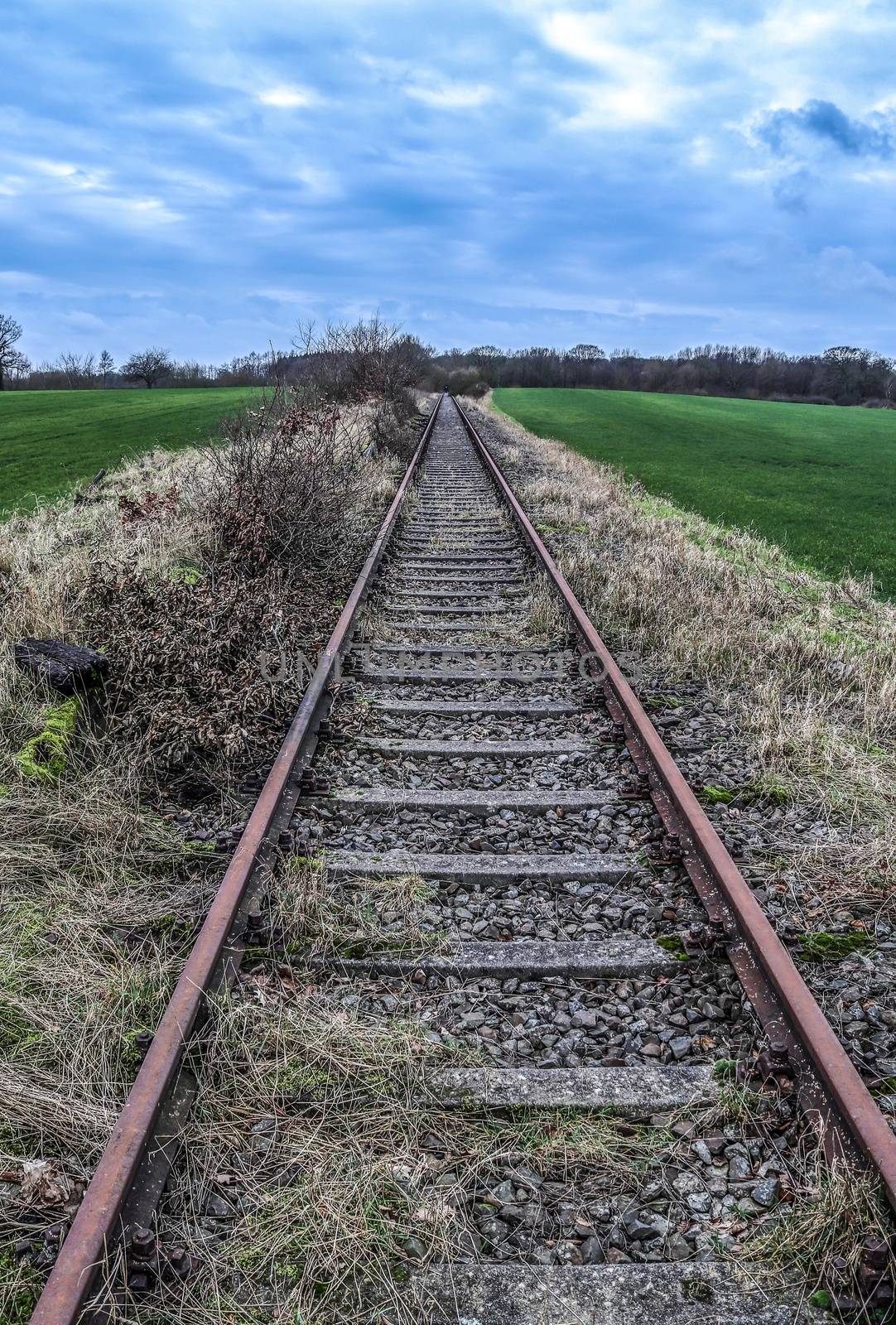 Multiple railroad tracks with junctions at a railway station in a perspective view