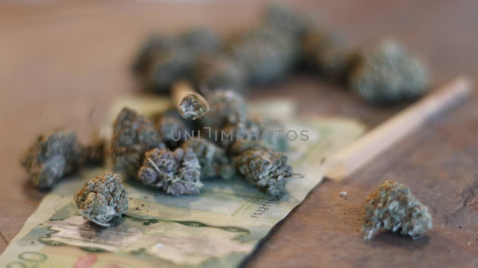 marijuana buds spread around canadian money by mynewturtle1