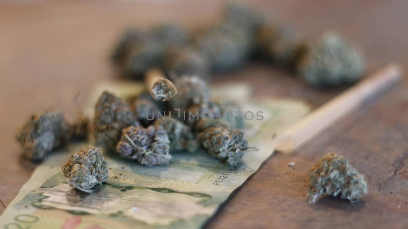 marijuana buds spread around canadian money by mynewturtle1