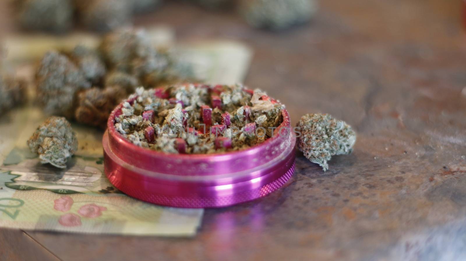 marijuana buds spread around canadian money by mynewturtle1