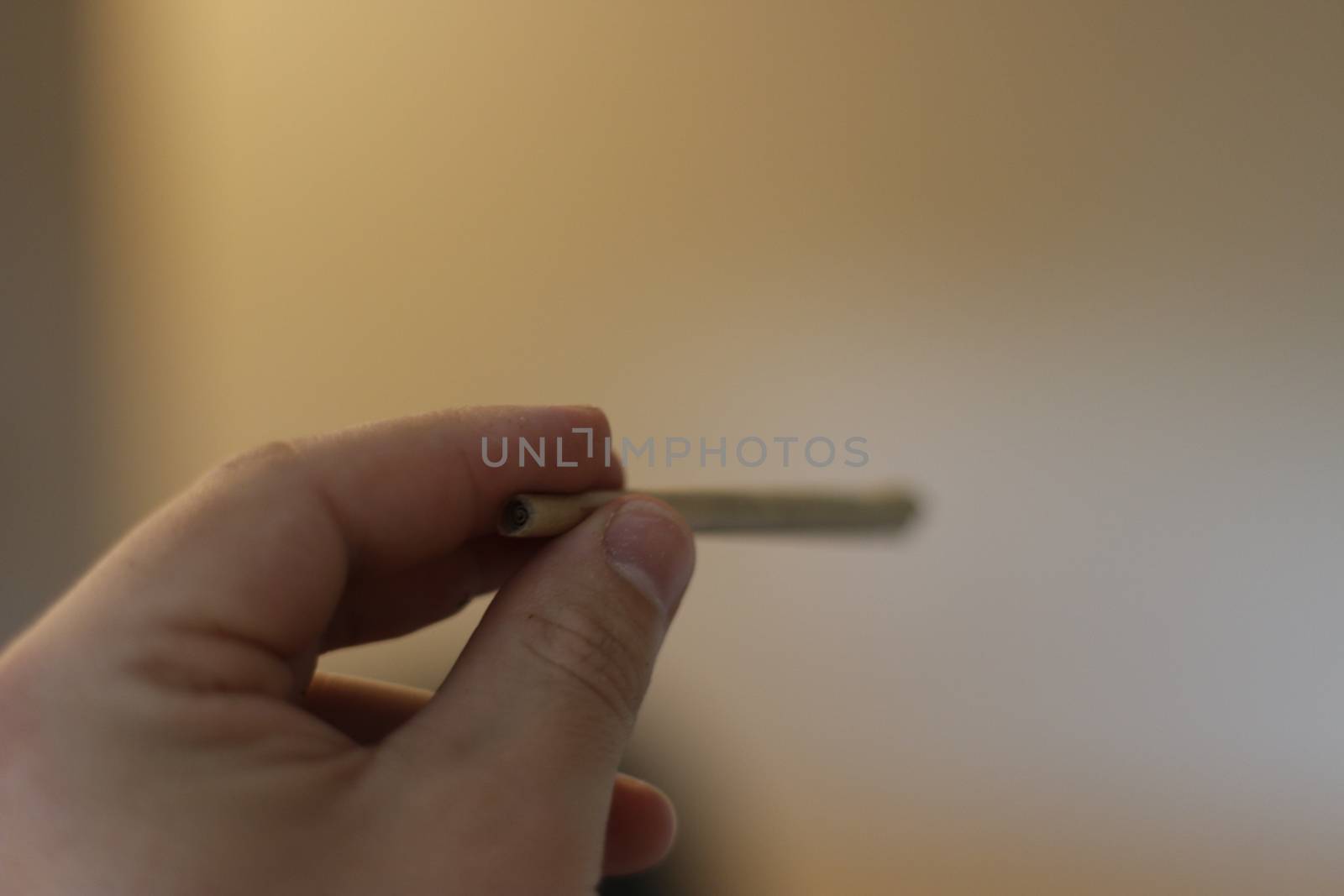 Mans Hand Holding Marijuana Joint Isolated On White