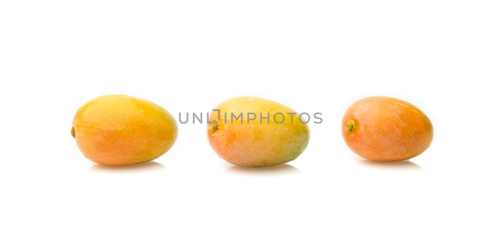 Fresh yellow mango fruit isolated on white background