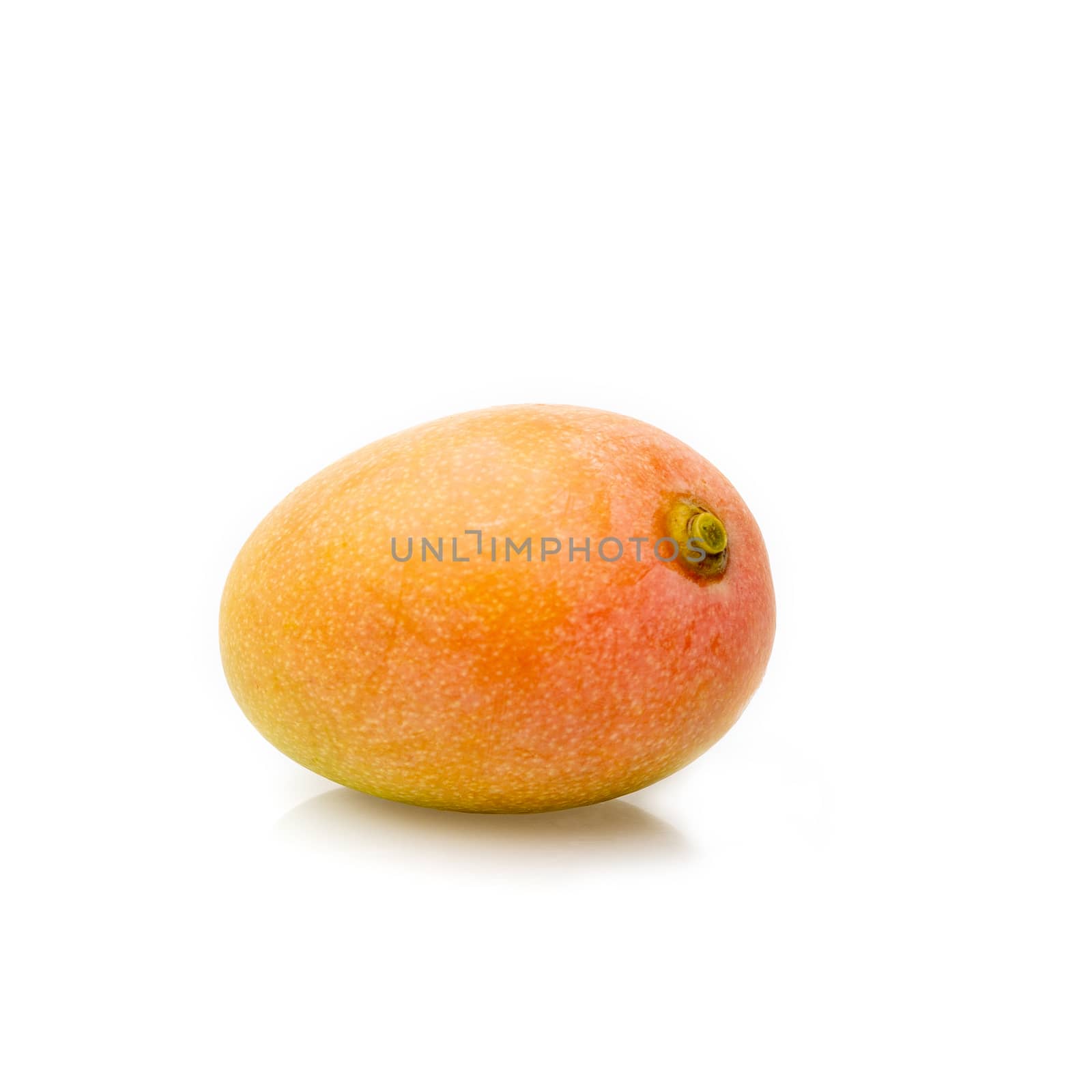 Fresh yellow mango fruit isolated on white background