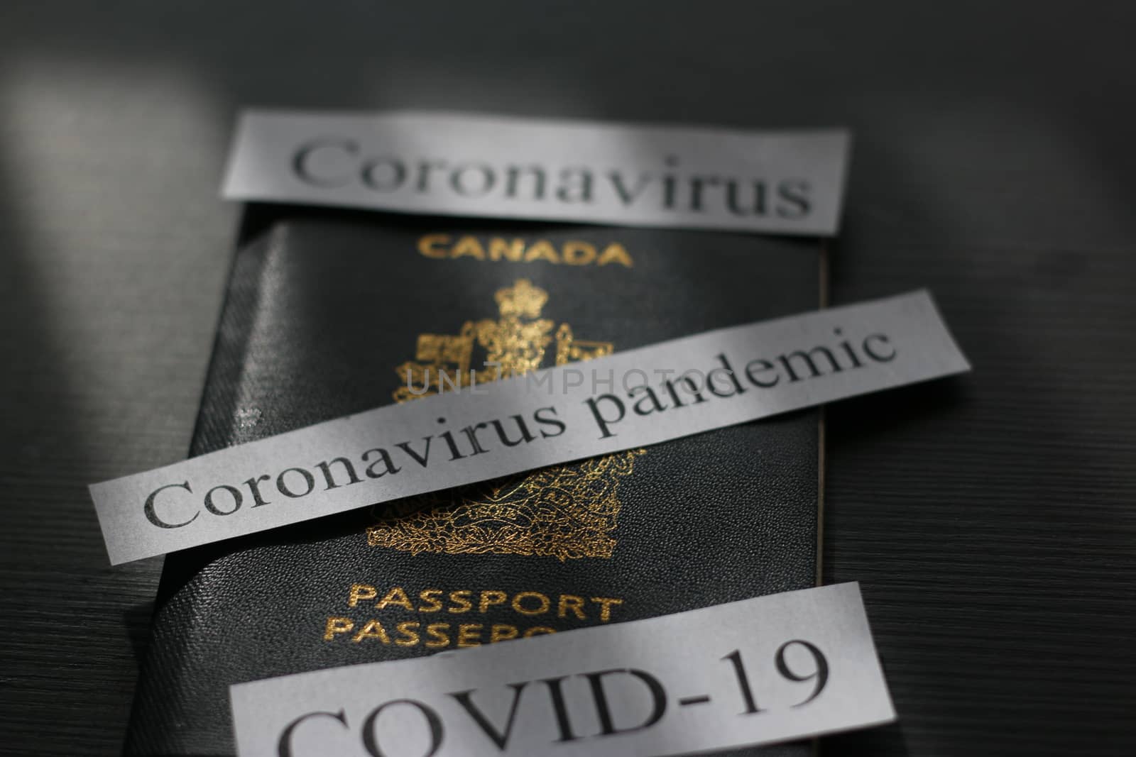 COVID-19 or coronavirus and Canada by mynewturtle1