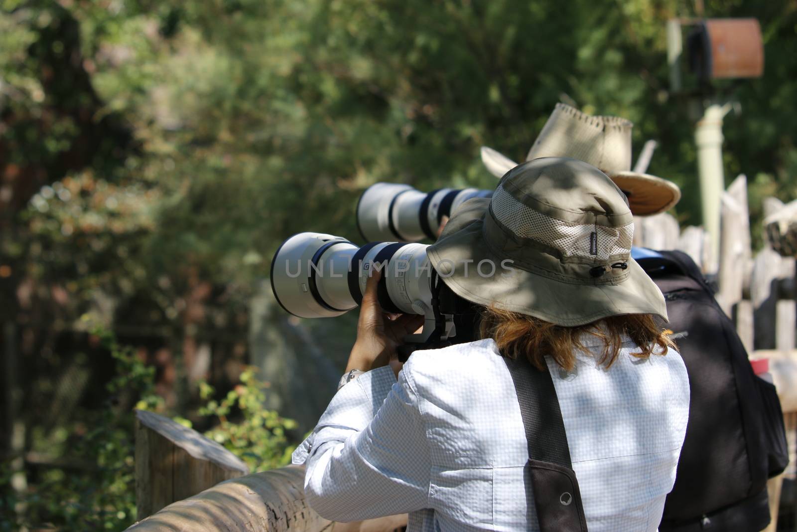 August 24 2019, Toronto Canada: Editorial photograph of Safari tourist taking pictures of wild animals.