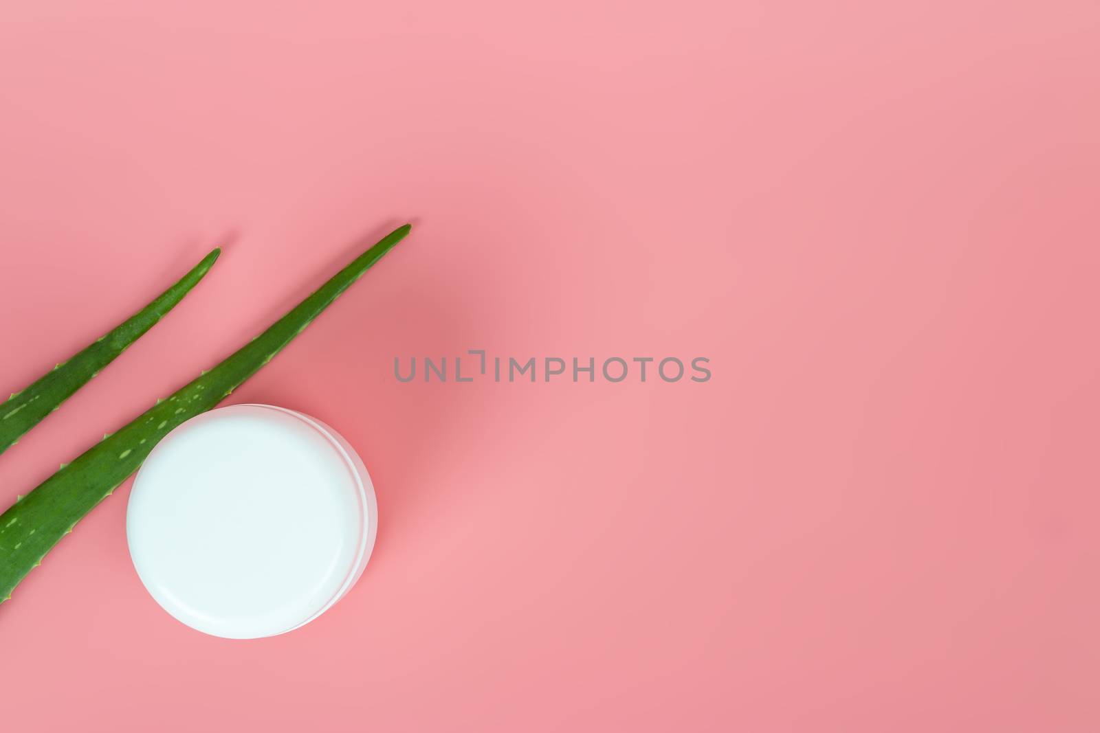 Fresh aloe vera leaves and white plastic cosmetic jar on pastel pink background for Health and beauty products.