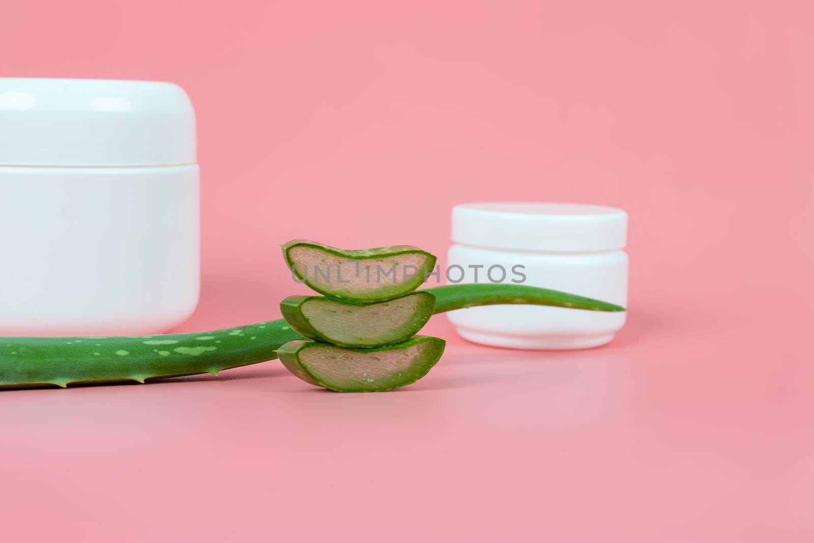 Fresh aloe vera leaves and slices on pastel pink background for Health and beauty products.