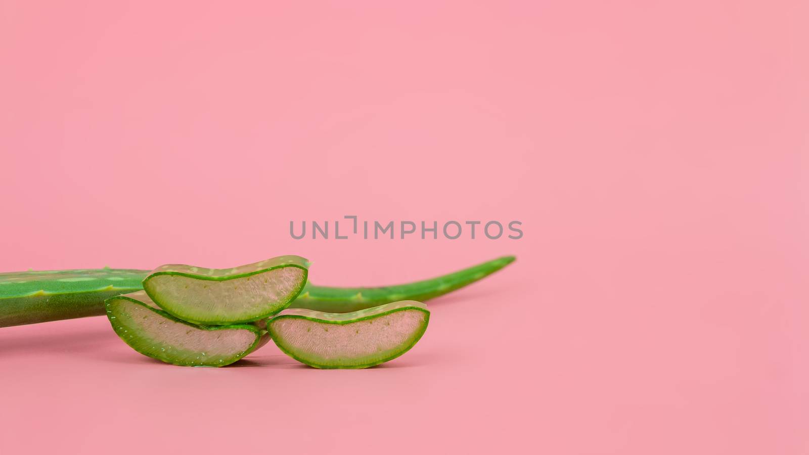 Fresh aloe vera leaves and slices on pastel pink background for Health and beauty products.