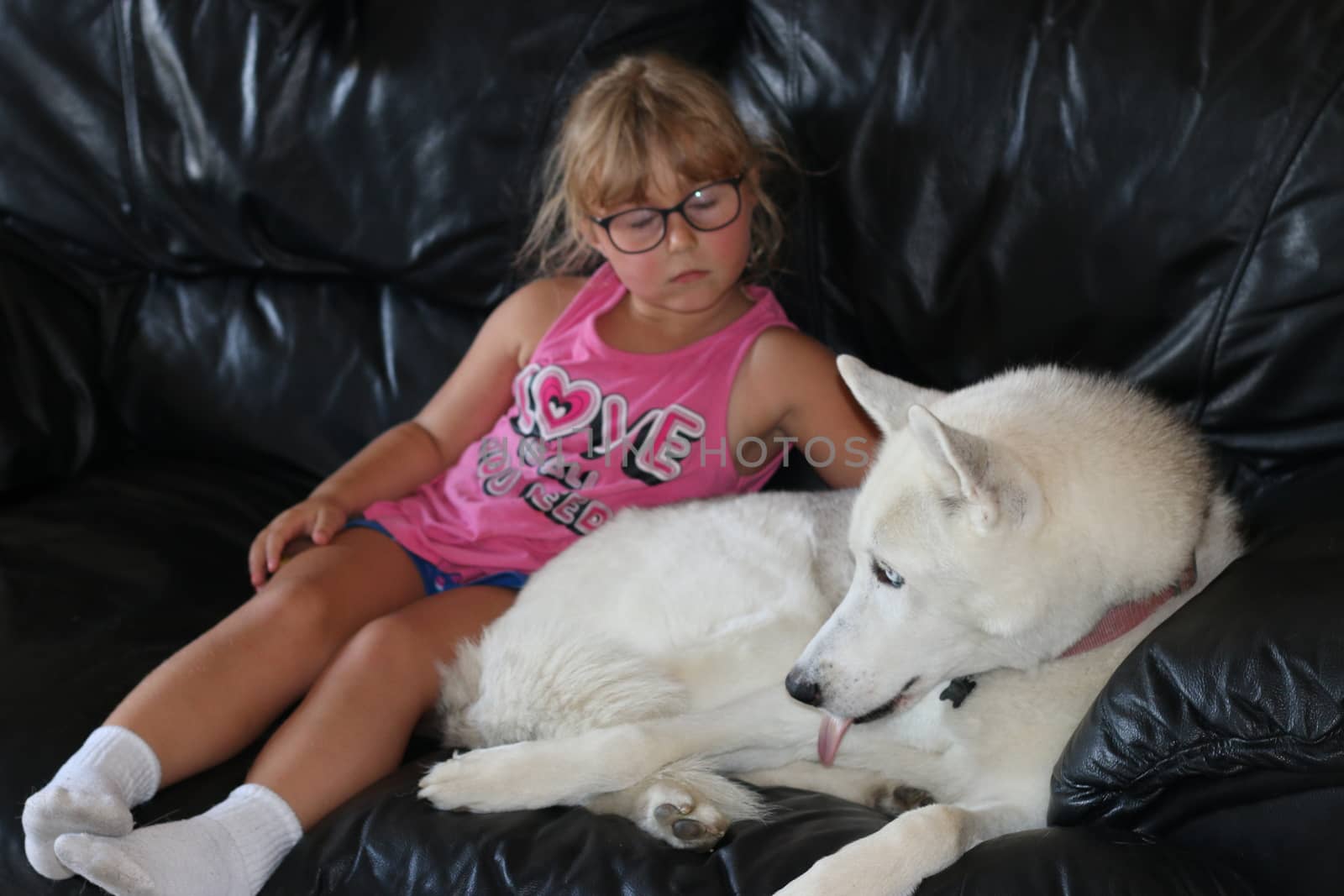 Little girl sits on couch next to her pet dog, siberian husky by mynewturtle1