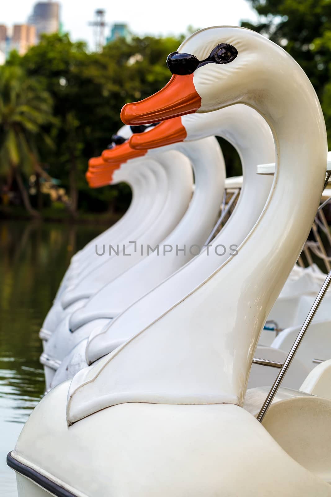 Swan paddle or pedal boat floating in lake in public park.