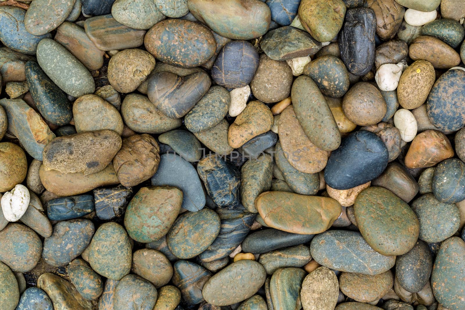 Closeup shot of stone or pebble at the sea.