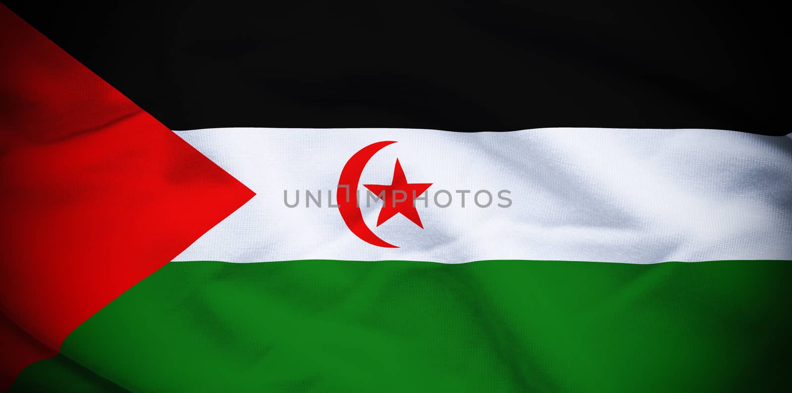 Wavy and rippled national flag of Western Sahara background.
