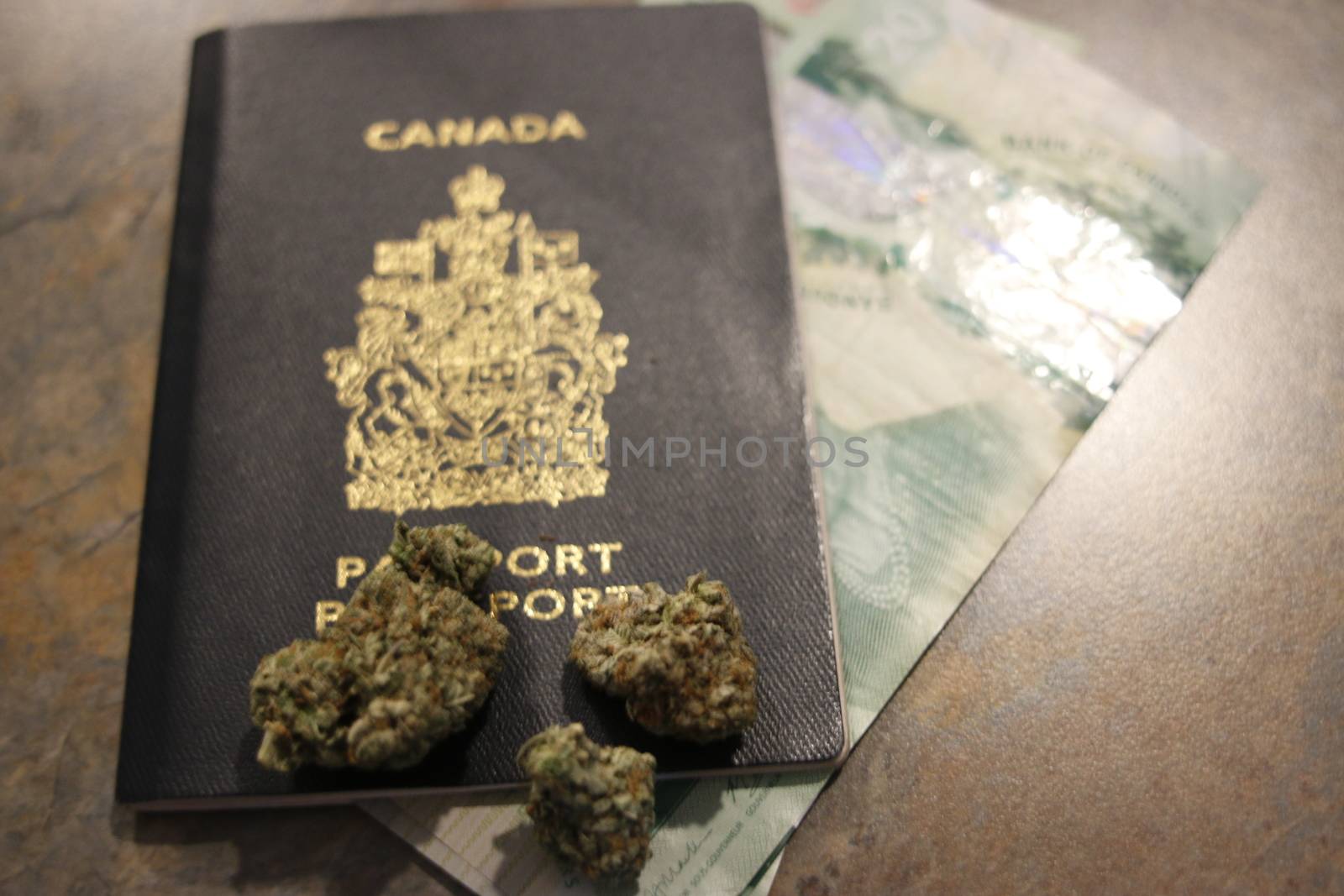 Growing and consuming marijuana in Canada . World Marijuana Importer 2019n. Growing and consuming marijuana in Canada . World Marijuana exporter in 2019. by mynewturtle1