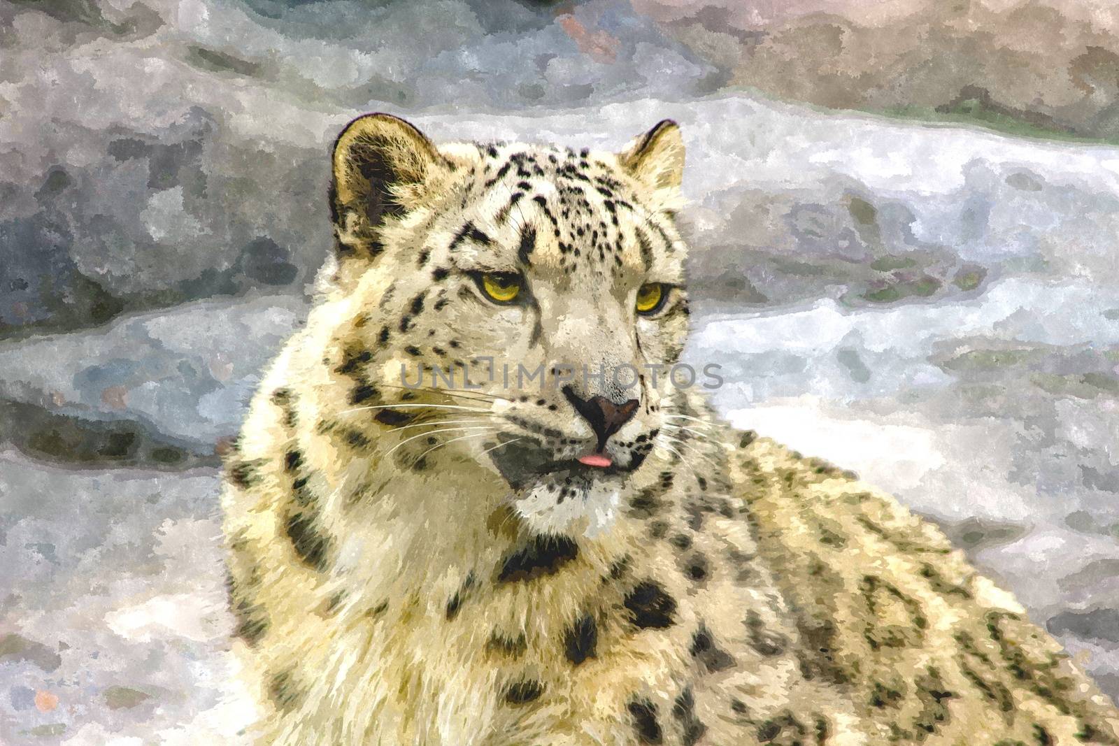 endangered snow leopard digital artwork. Beautiful animal
