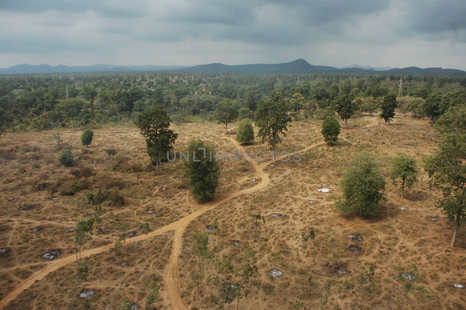 Aerial view of a buildings