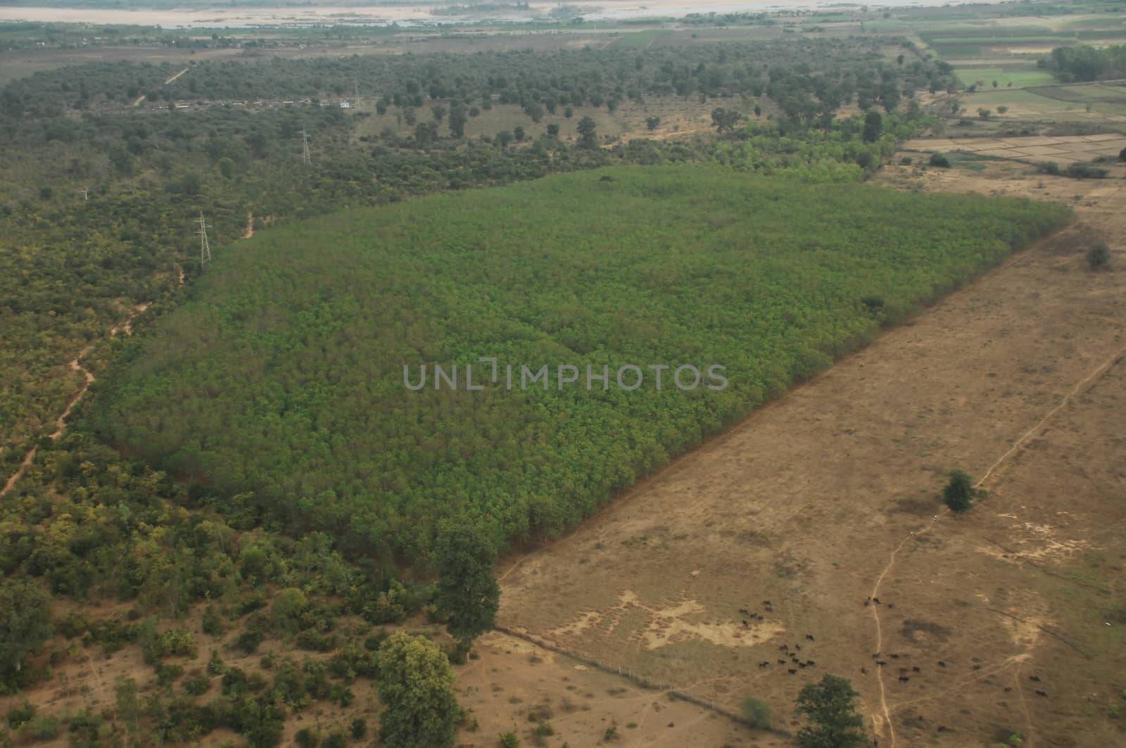 Aerial view of a buildings