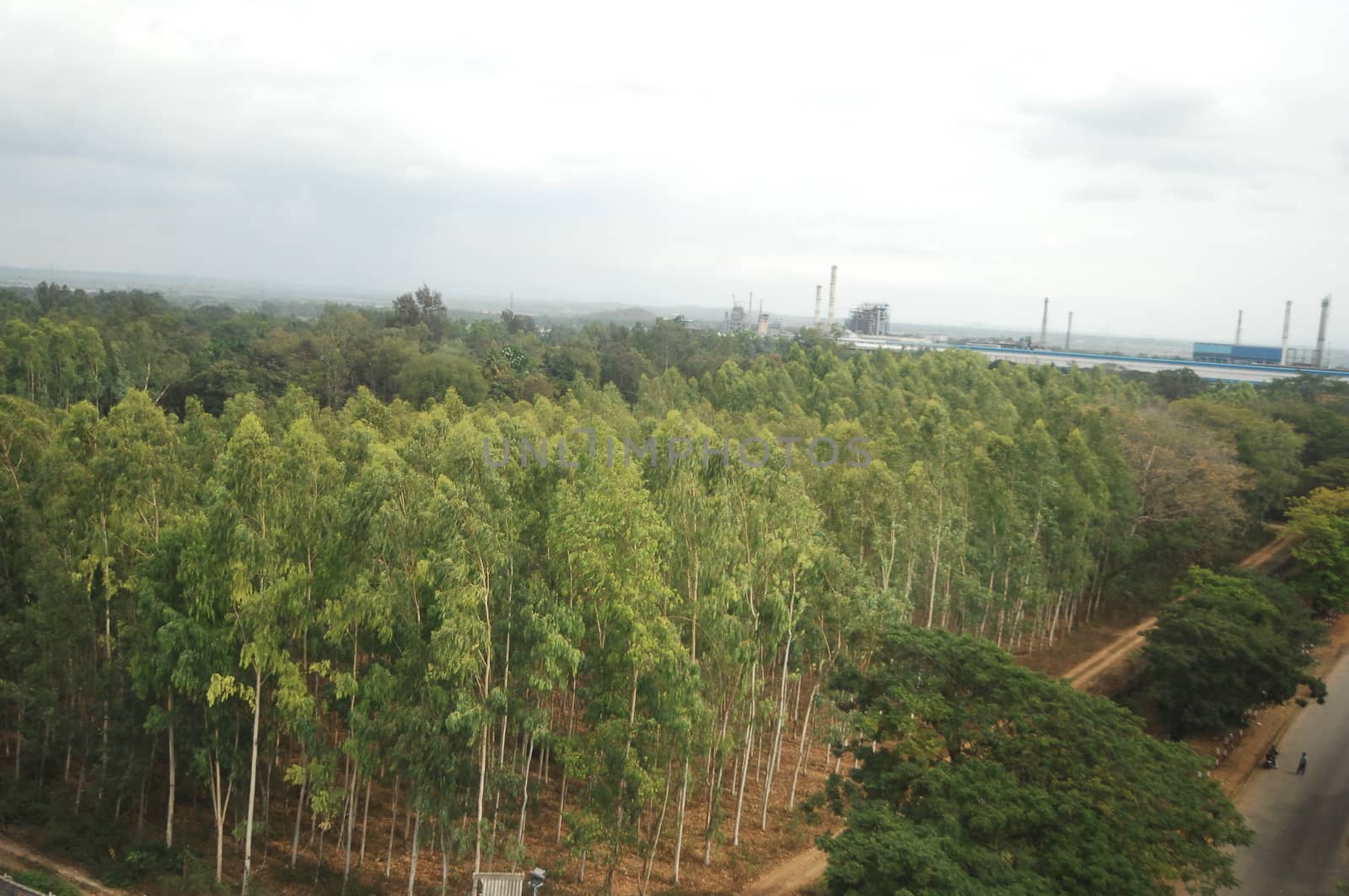 Aerial view of a buildings