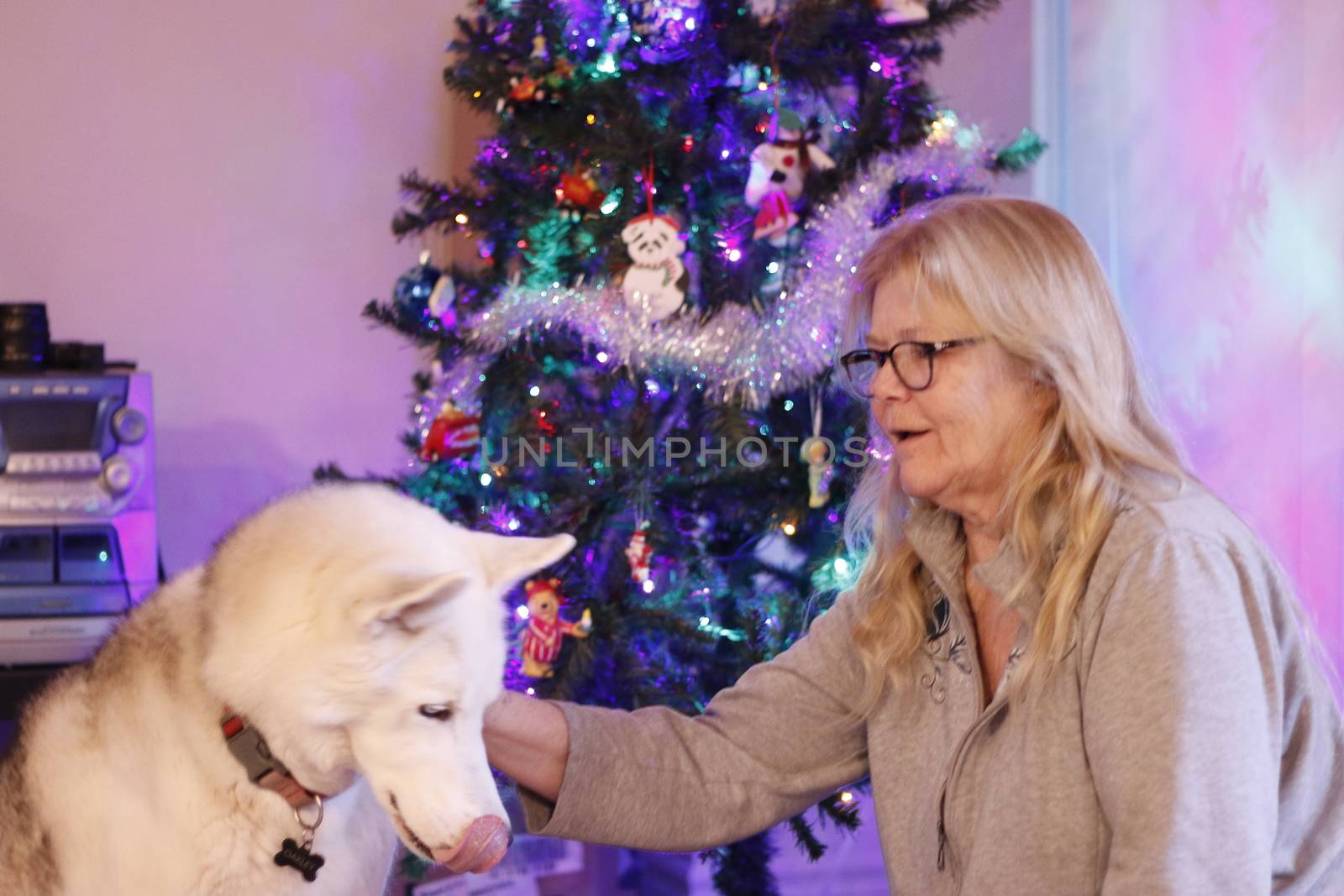 girl sitting in winter park and looking at siberian husky near Christmas tree outdoors.