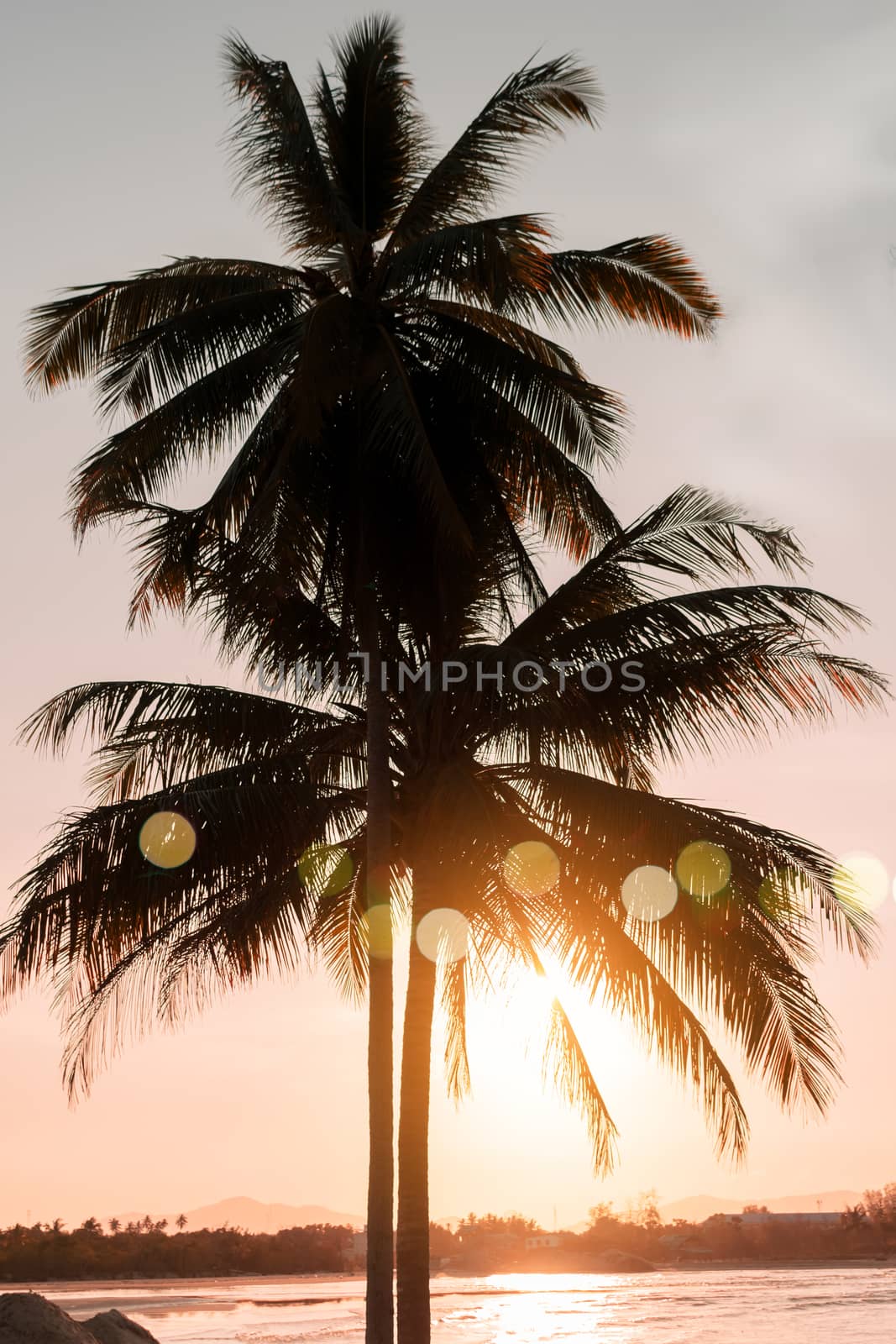 Tropical nature clean beach and white sand in summer with sun light blue sky and bokeh background. by Suwant