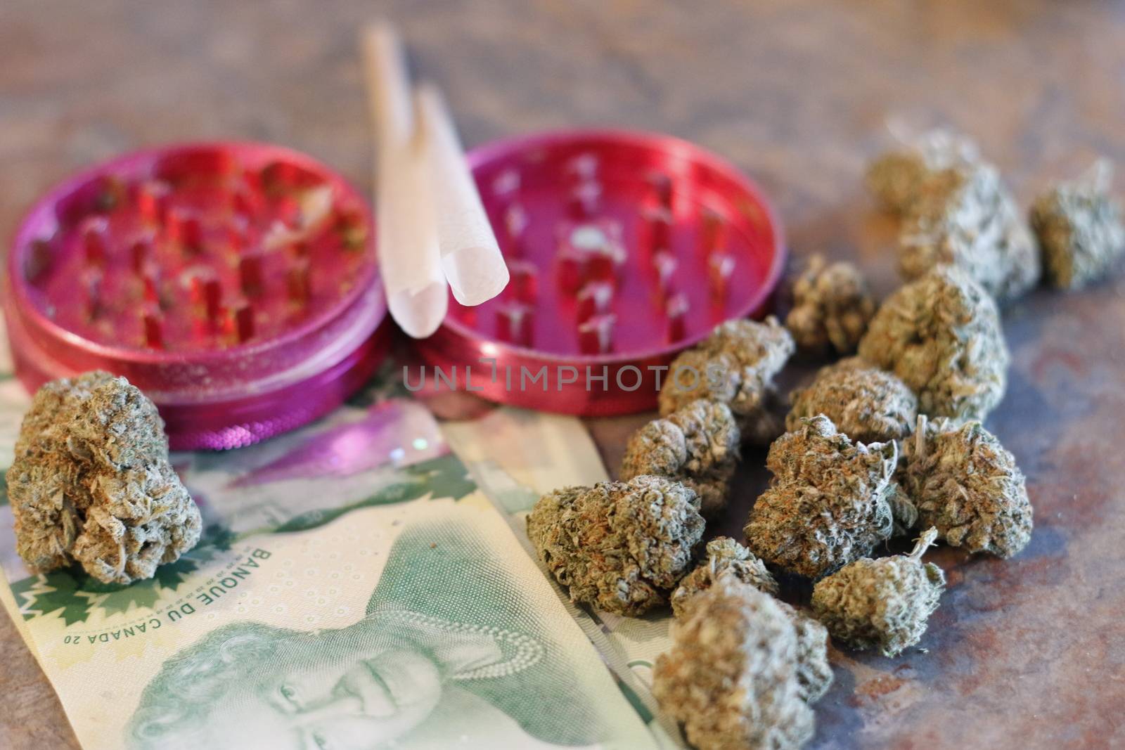 A grinder, pre rolled joints, canadian money, and weed by mynewturtle1