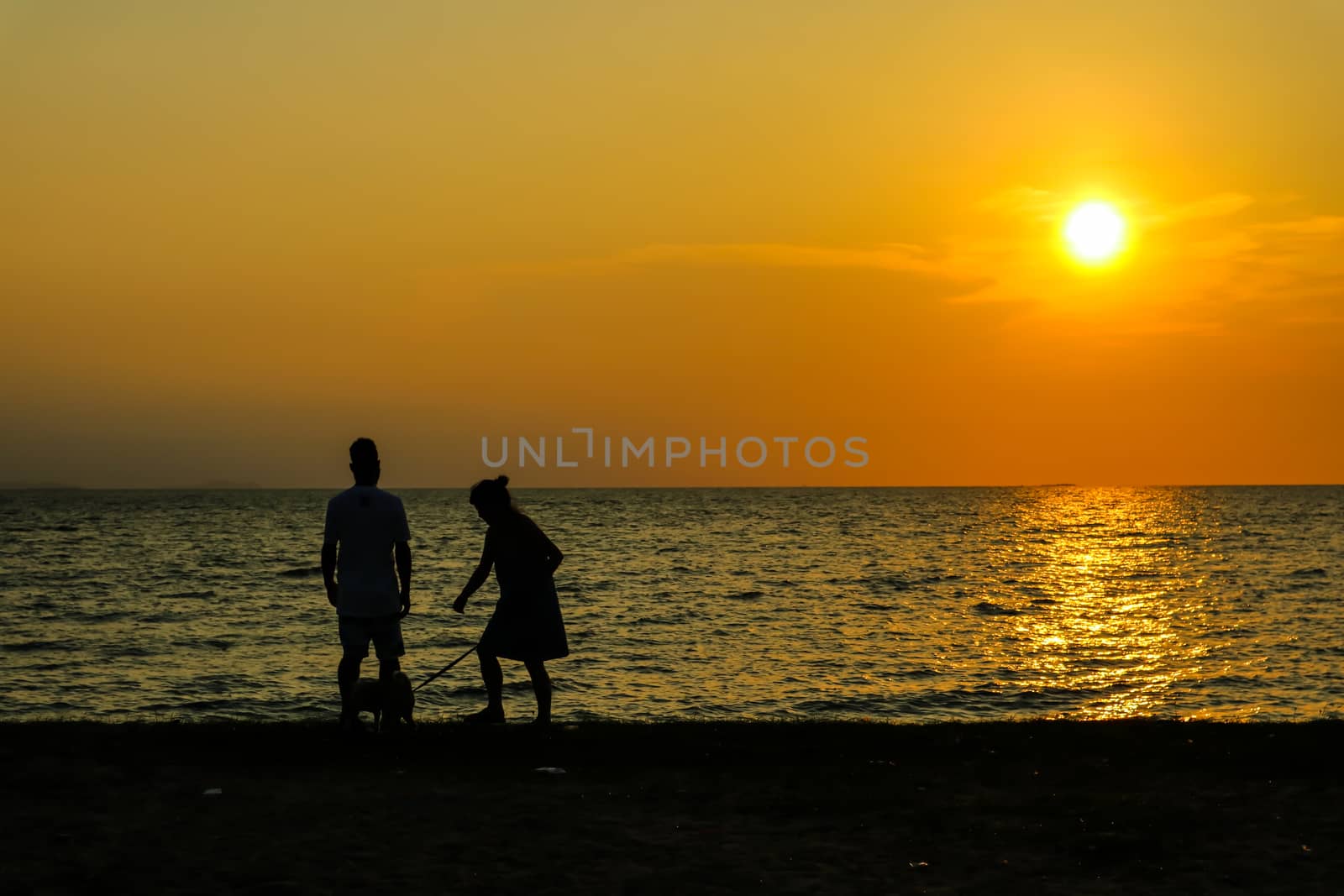 silhouette people family and pet at beach and sea sand sunset background
