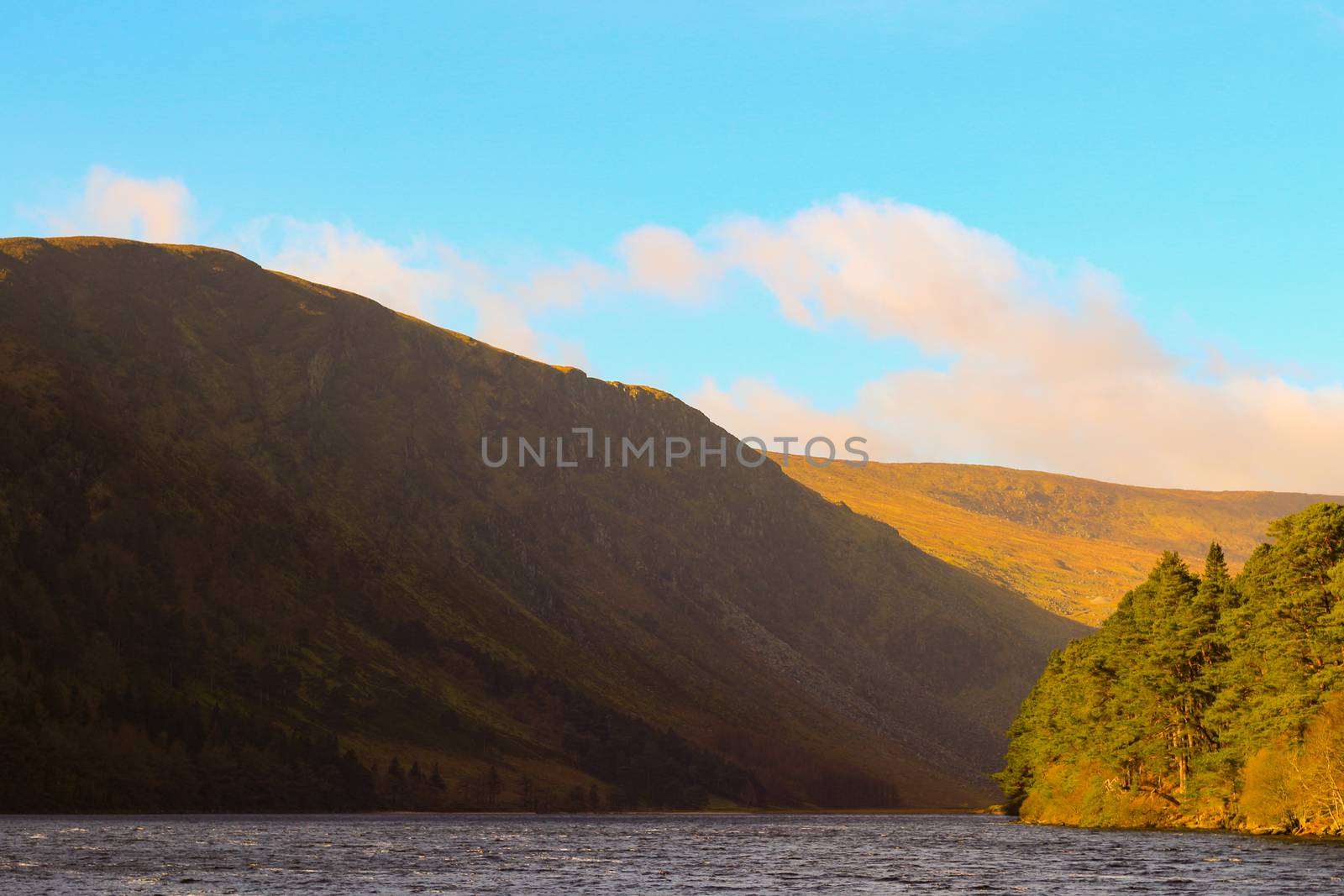 Guinness Lake, Wicklow Mountains, Ireland, Nature, Flowers, Sunny Day, Blue Sky, Sun.