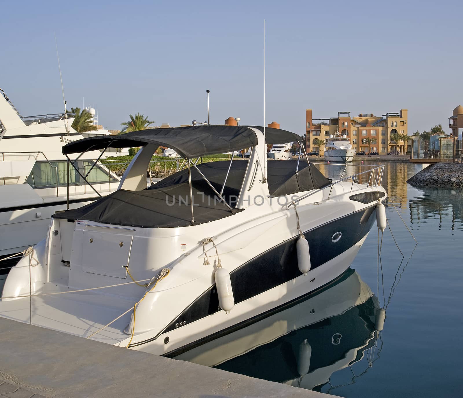 Luxury motor yachts moored up in a marina