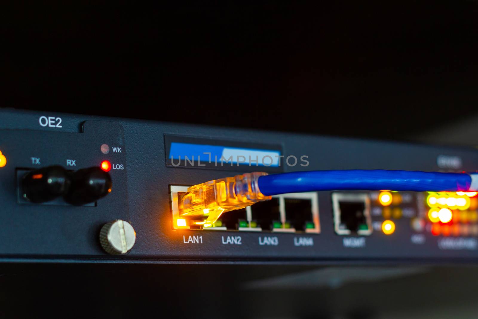 blue cable network connection to a port of a switch in Server Room