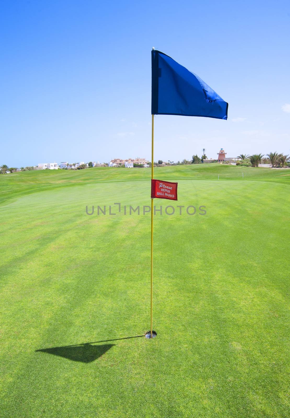 Flag on a golf course green by paulvinten