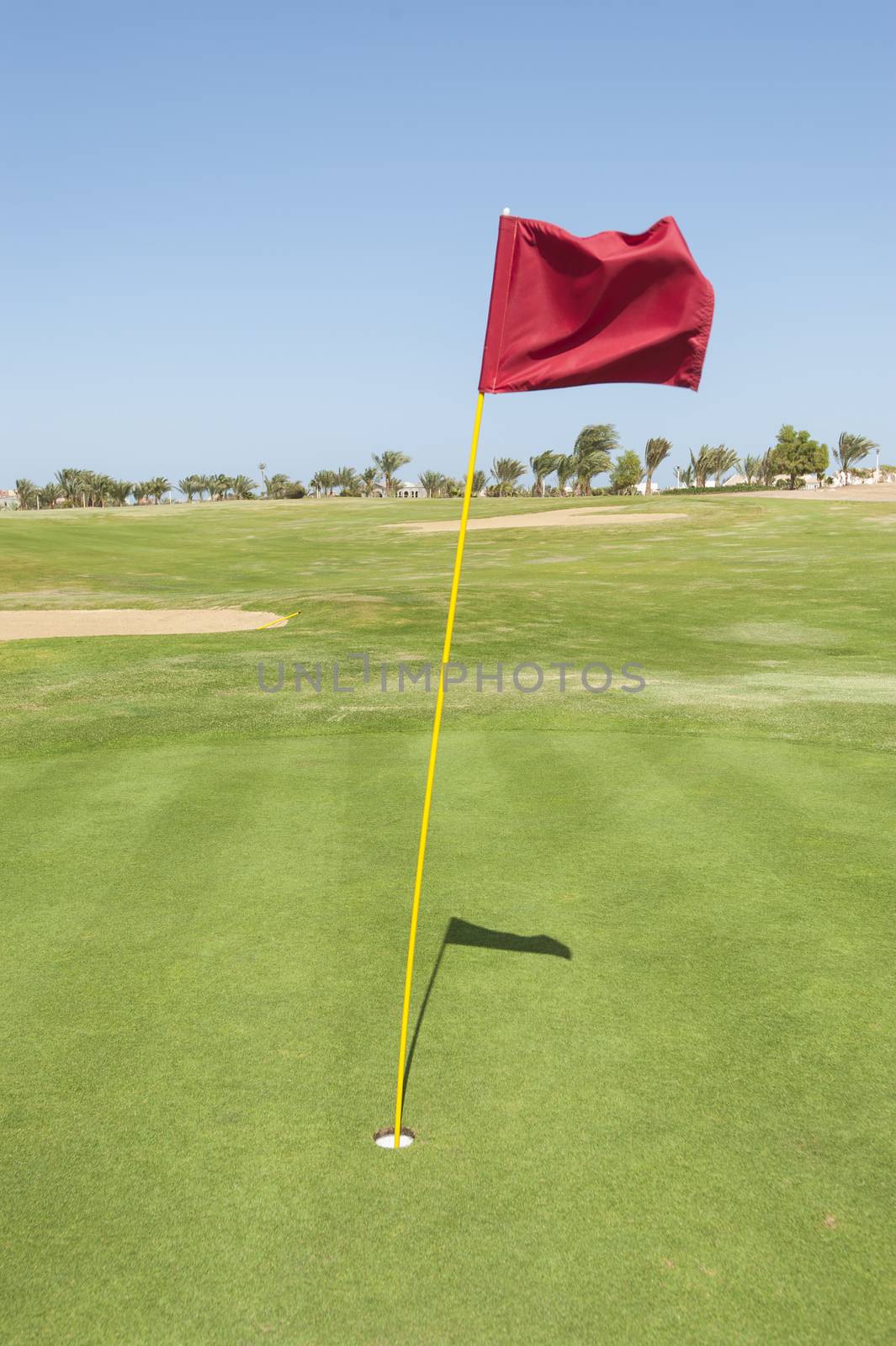 Flag in the hole on a golf course green