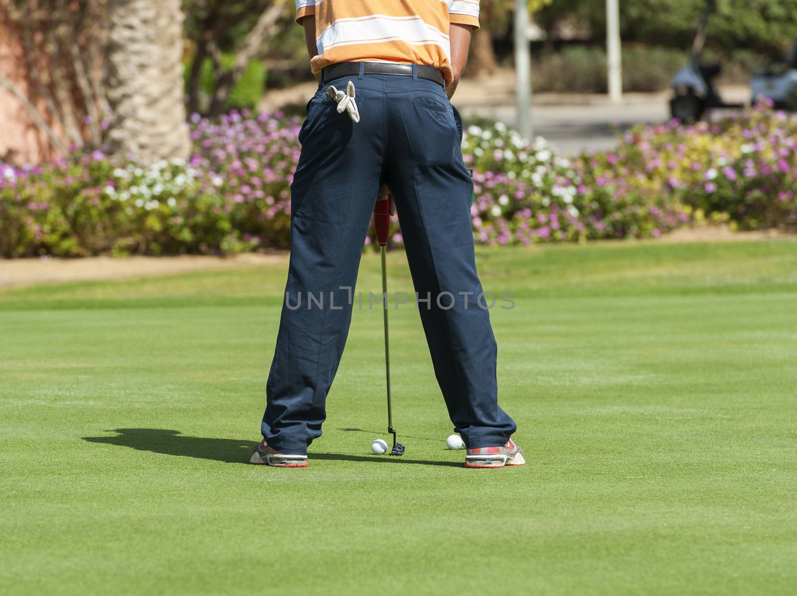Male golfer on a practice putting green