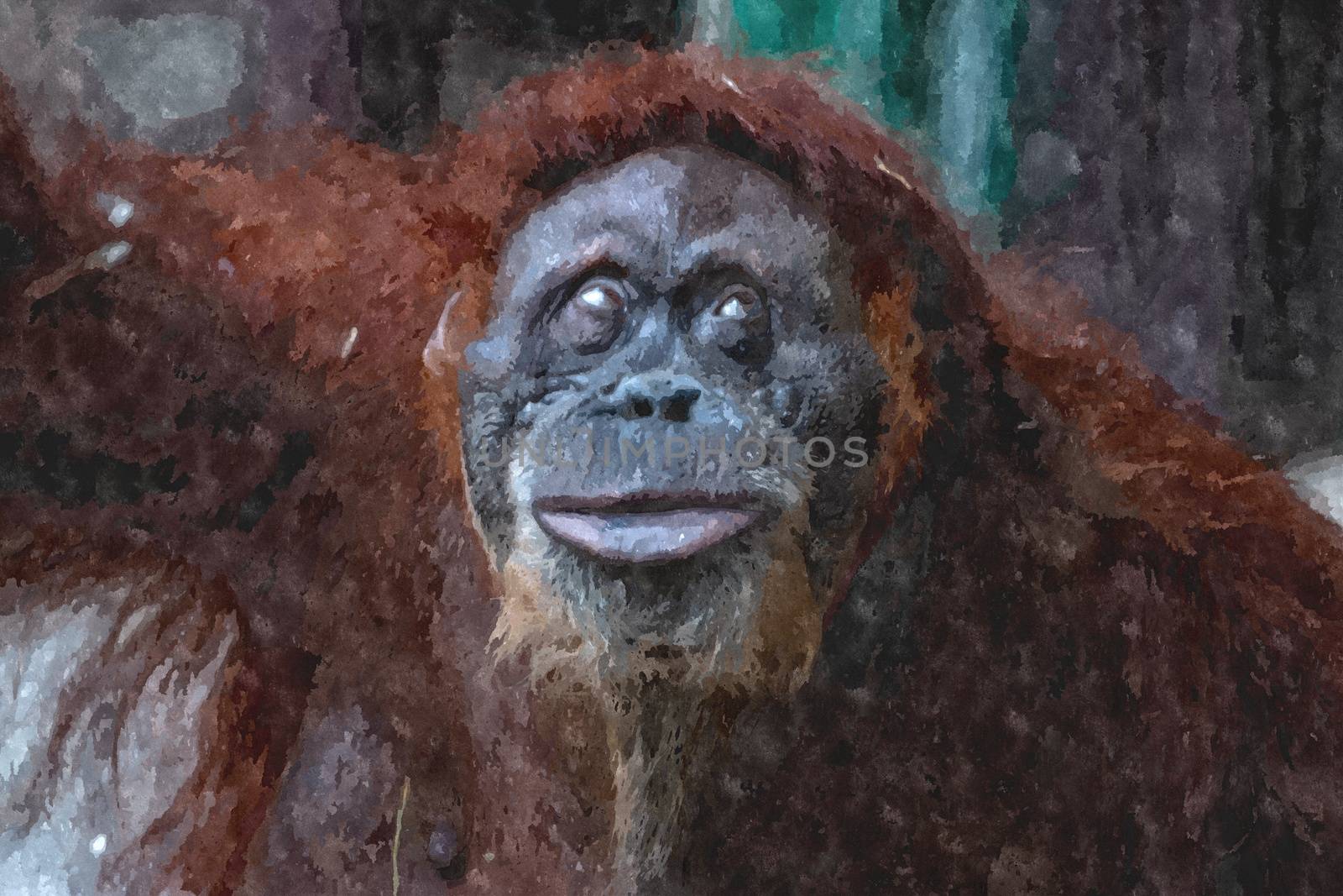 digital water color painting of an orangutan. Critically endangered species