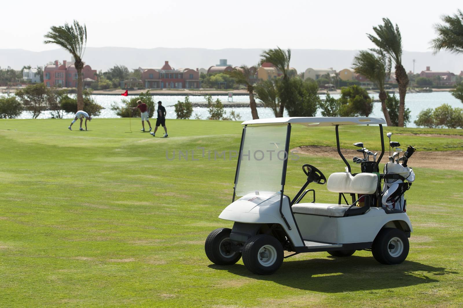 Electric golf buggy on the fairway with golfers on green in the distance