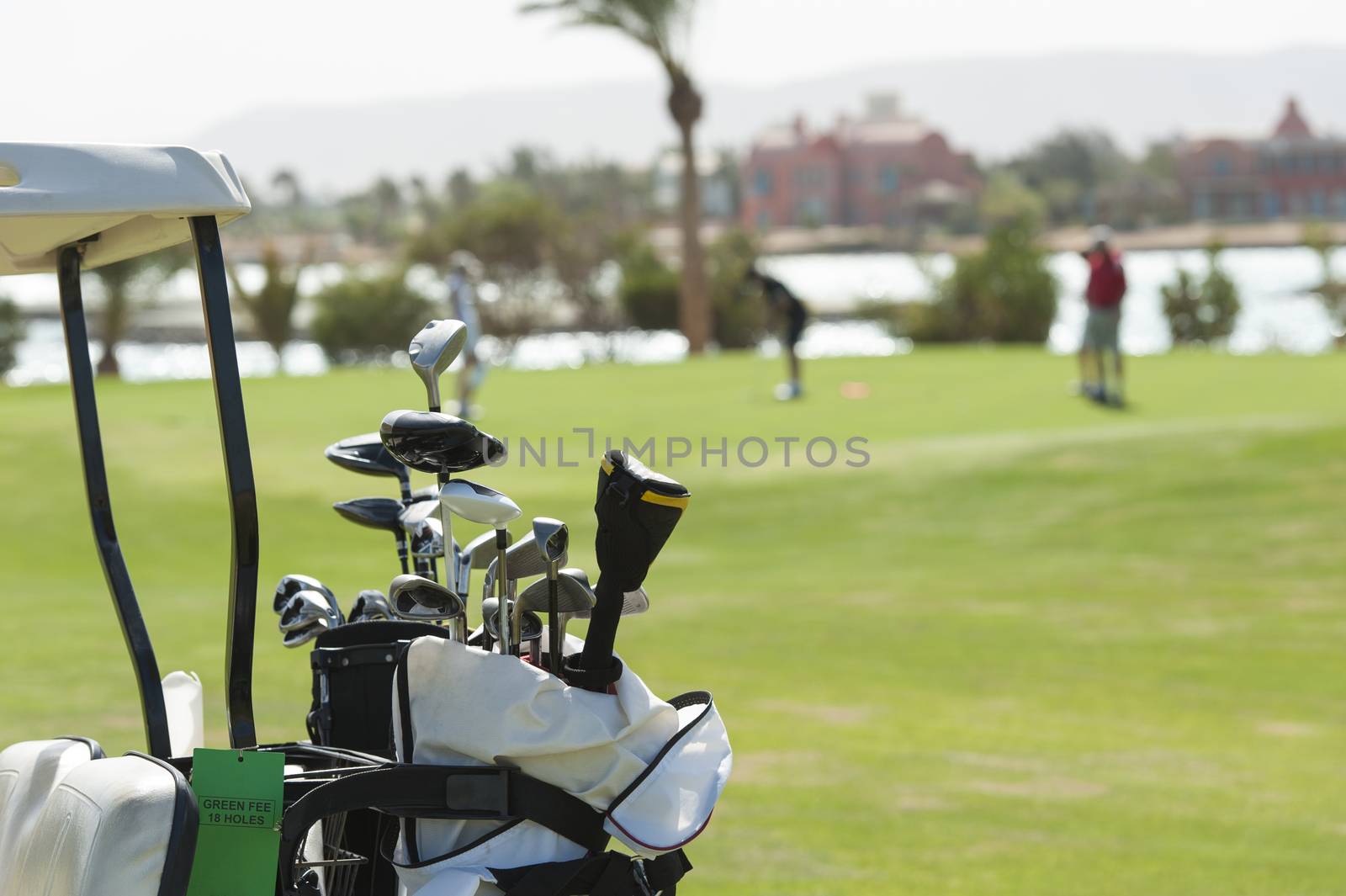 Closeup detail of golf clubs in a bag with golfers on the green in background