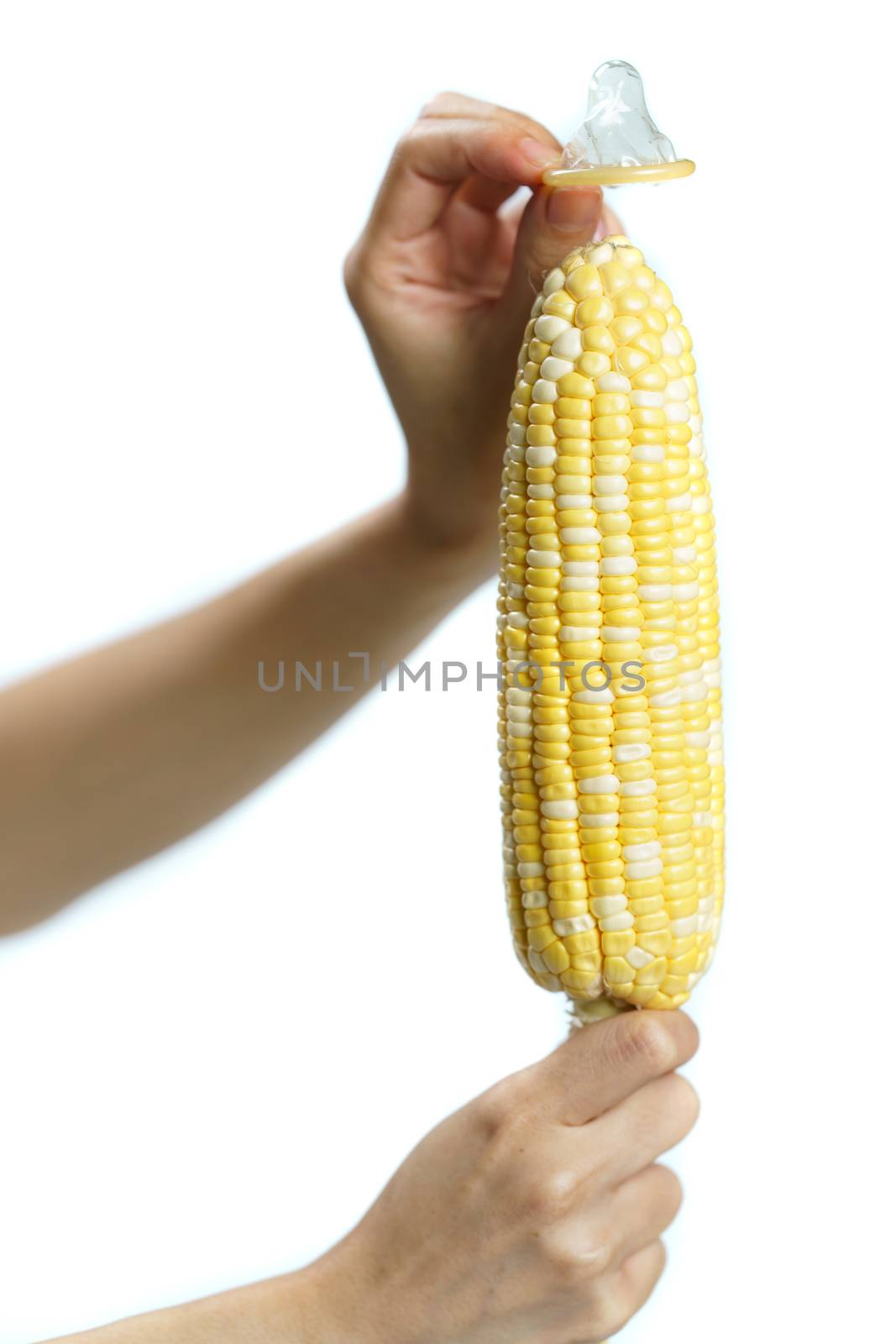 Ripe sweet corn with condom on white background. isolated