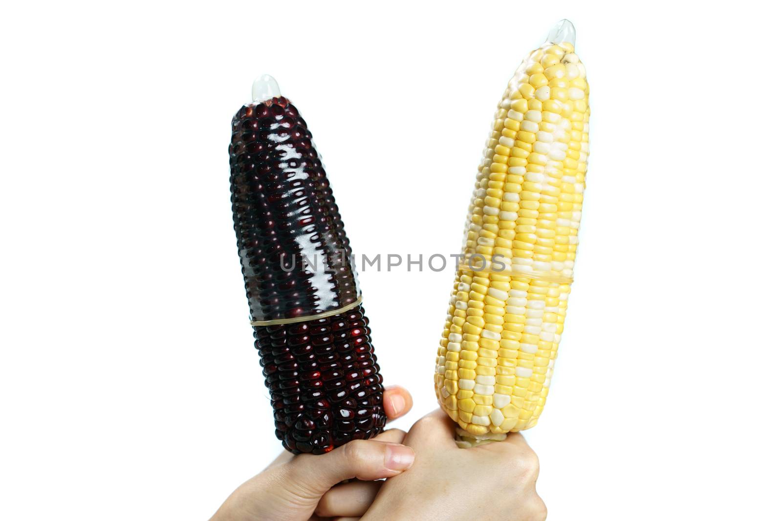 Ripe purple corn and sweet corn with condom on white background. isolated