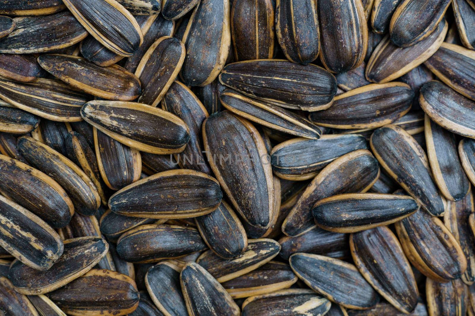 Black sunflower seeds. For texture or background. top view close by sirawit99