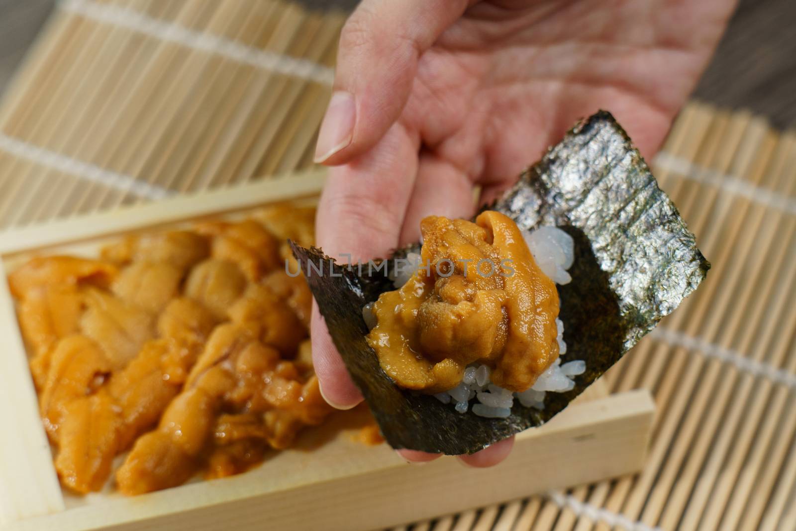 Uni Japanese sea urchin with rice and seaweed in hand. by sirawit99