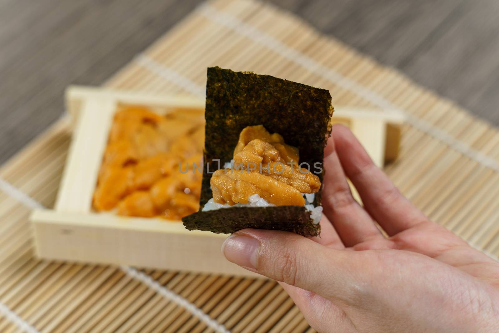 Uni Japanese sea urchin with rice and seaweed in hand.