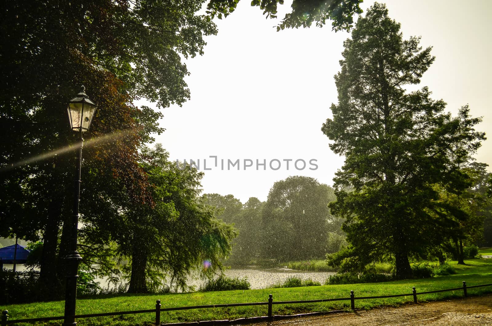 park with a beautiful lake under heavy rain in central Berlin, Germany by chernobrovin