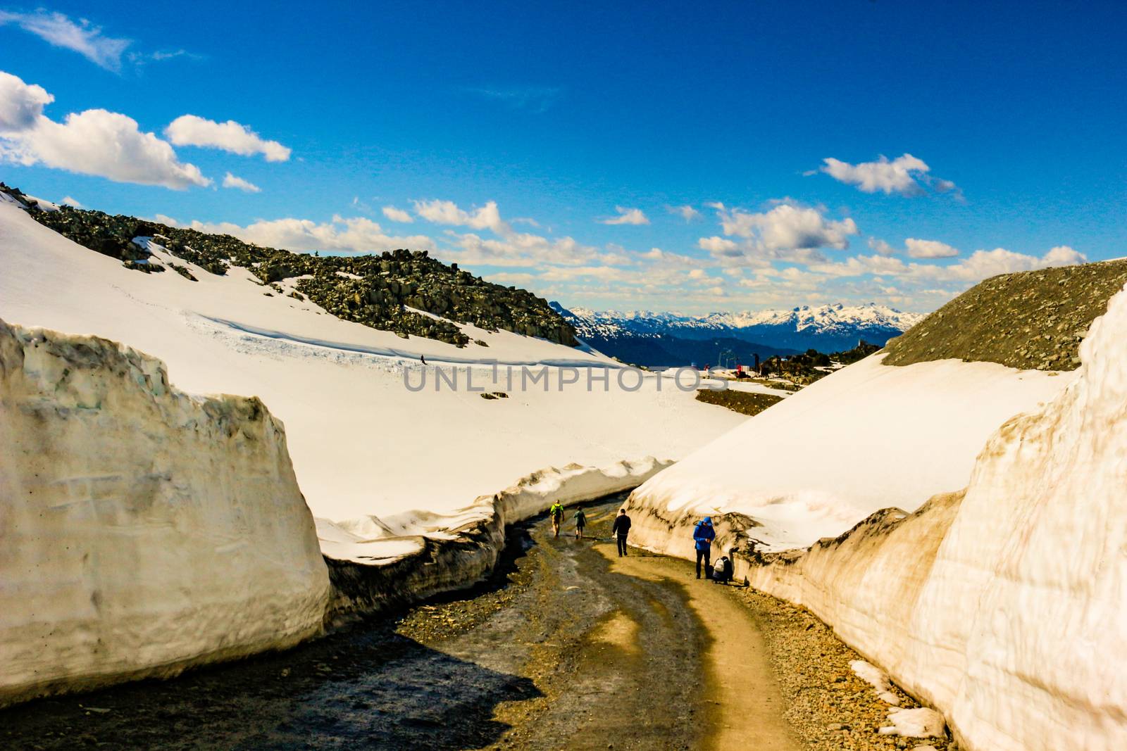 Snow covered trees and pathways in the Whistler and Black Comb Mountain in British Columbia Canada..